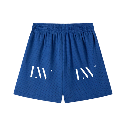 Loveandwar,lvnwr,mesh,shorts,ball,varsity,Basketball,systems,gym,athletic,wear,sports