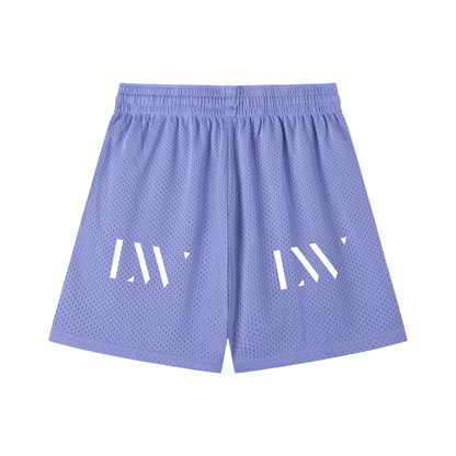 Loveandwar,lvnwr,mesh,shorts,ball,varsity,Basketball,systems,gym,athletic,wear,sports